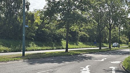 Pad met bomen aan de zijkant